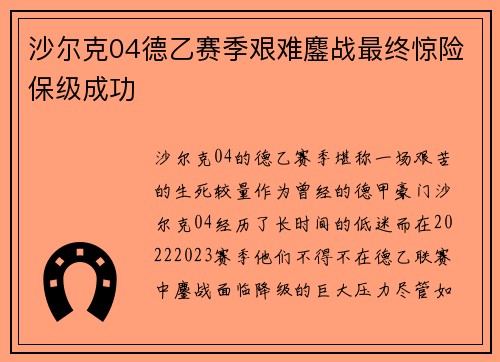 沙尔克04德乙赛季艰难鏖战最终惊险保级成功